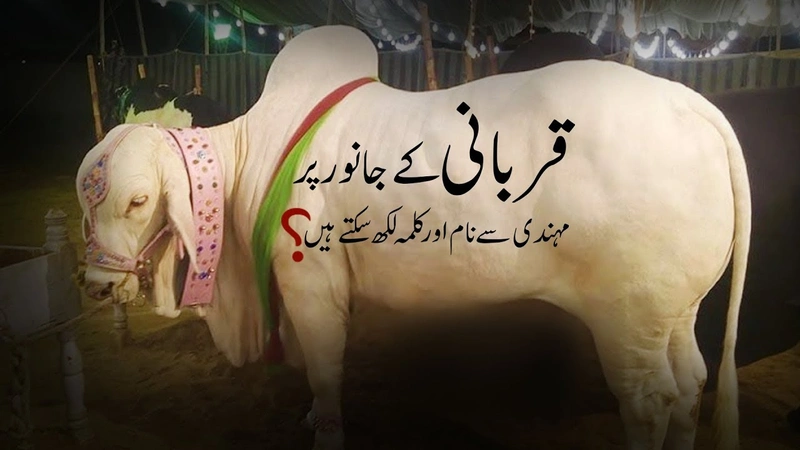 Dawateislami | Qurbani ke Janwar par naam likhna kaisa? | Dar Ul Ifta Ahle Sunnat
